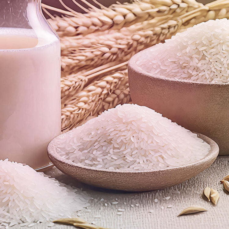 Extrato de Arroz