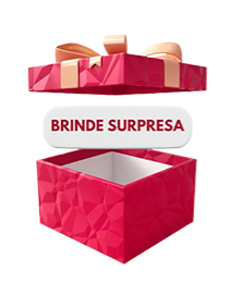 Brinde surpresa